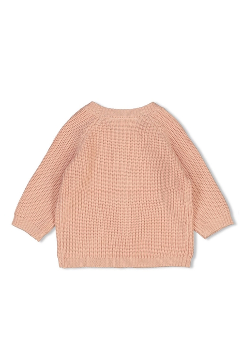 Feetje vesten 150 Roze 51300498