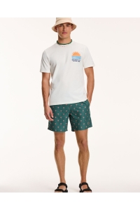 Shiwi zwemkleding 764 Cilantro Green 1441110222