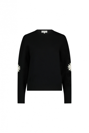 Fabienne Chapot Pullover