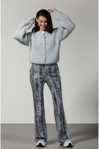Broek