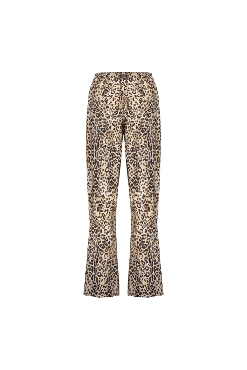 Broek
