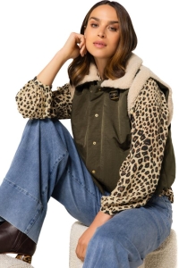 Broek
