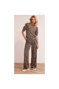 Broek