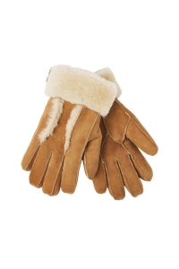 Accessoire