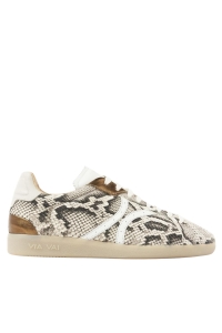 Schoen