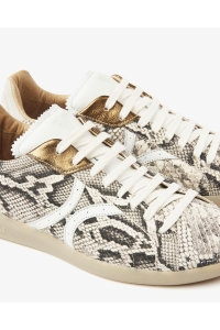 Schoen