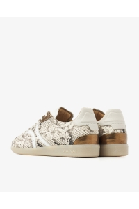 Schoen