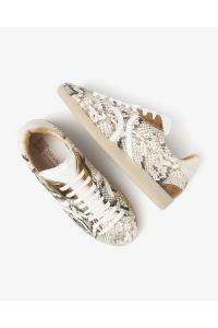 Schoen