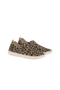 Schoen