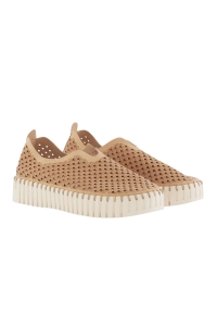 Schoen