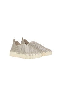 Schoen