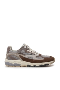 Schoen