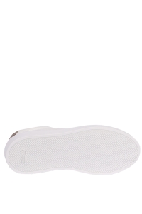 Schoen